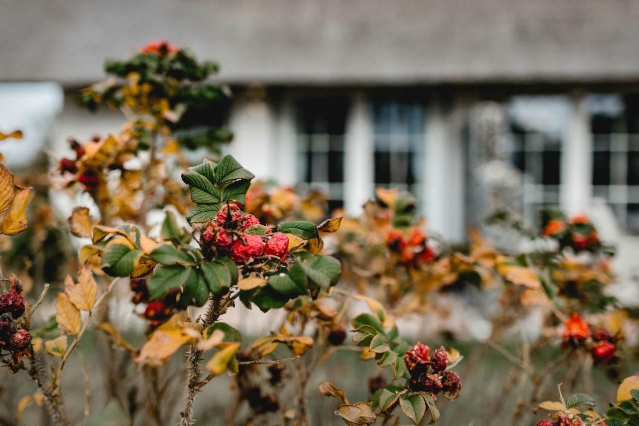 Ferienhaus Nordbrise Dranske Bagian luar foto